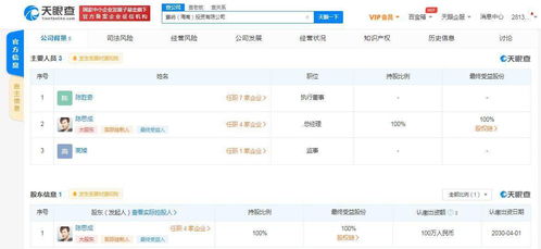陳思成海南成立投資公司，業務涵蓋資金投資與項目策劃服務